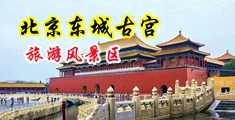 被操死视频网站中国北京-东城古宫旅游风景区